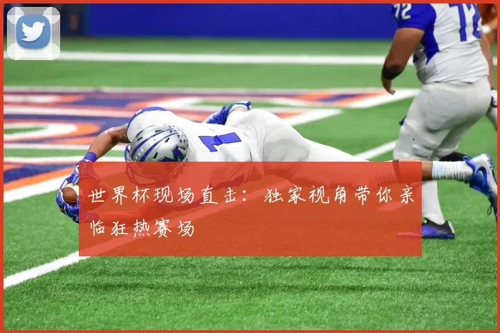 世界杯现场直击：独家视角带你亲临狂热赛场